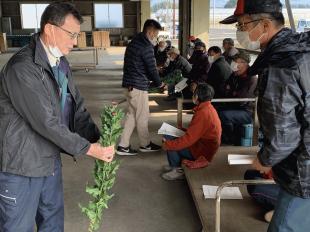 菊出荷査定会⑤.JPG