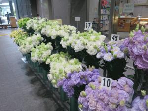 【中古】 トルコギキョウをつくりこなす 自生地に学ぶ高品質栽培/農山漁村文化協会/八代嘉昭 中古】 トルコギキョウをつくりこなす 自生地に学ぶ高品質栽培