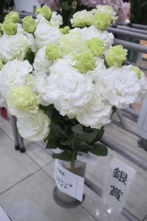 トルコギキョウ] JAグループくまもと 花き部会