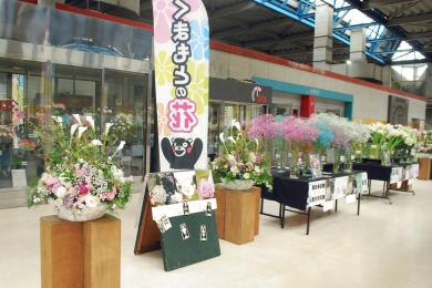 くまもとの花 (4).JPG