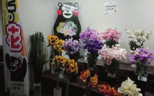 福岡花市場①.JPGのサムネイル画像のサムネイル画像のサムネイル画像