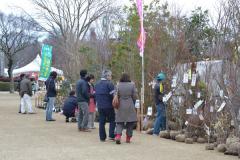 植木まつり開会式5.jpg