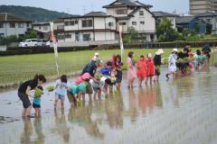 田植え1.jpg