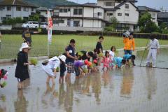 田植え3.jpg