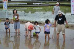 田植え5.jpg