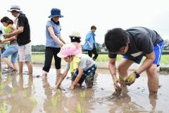 20180630経済連　田植をする児童と保護者ら.jpg