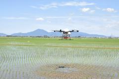 20180710-1豆つぶ除草剤を試験散布するドローン①.jpg