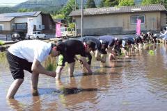 田植研修会.jpg