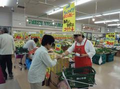 夏野菜カレー販売促進.jpg