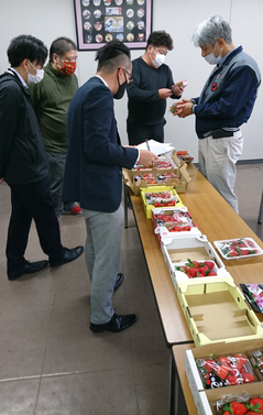 201210イチゴ査定会.jpg