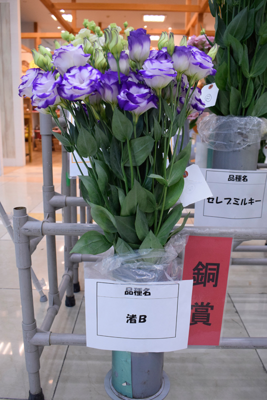 http://www.jakk.or.jp/pickup/mt-images/0130%E3%83%88%E3%83%AB%E3%82%B3%E3%82%AE%E3%82%AD%E3%83%A7%E3%82%A6%E5%88%87%E8%8A%B1%E5%93%81%E8%A9%95%E4%BC%9A%E9%8A%85%E8%B3%9E.jpg