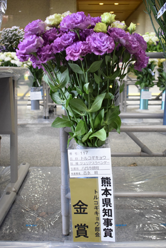 http://www.jakk.or.jp/pickup/mt-images/2019.3.6-10.jpg