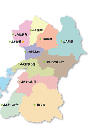 熊本県下のJA・連合会ホームページ