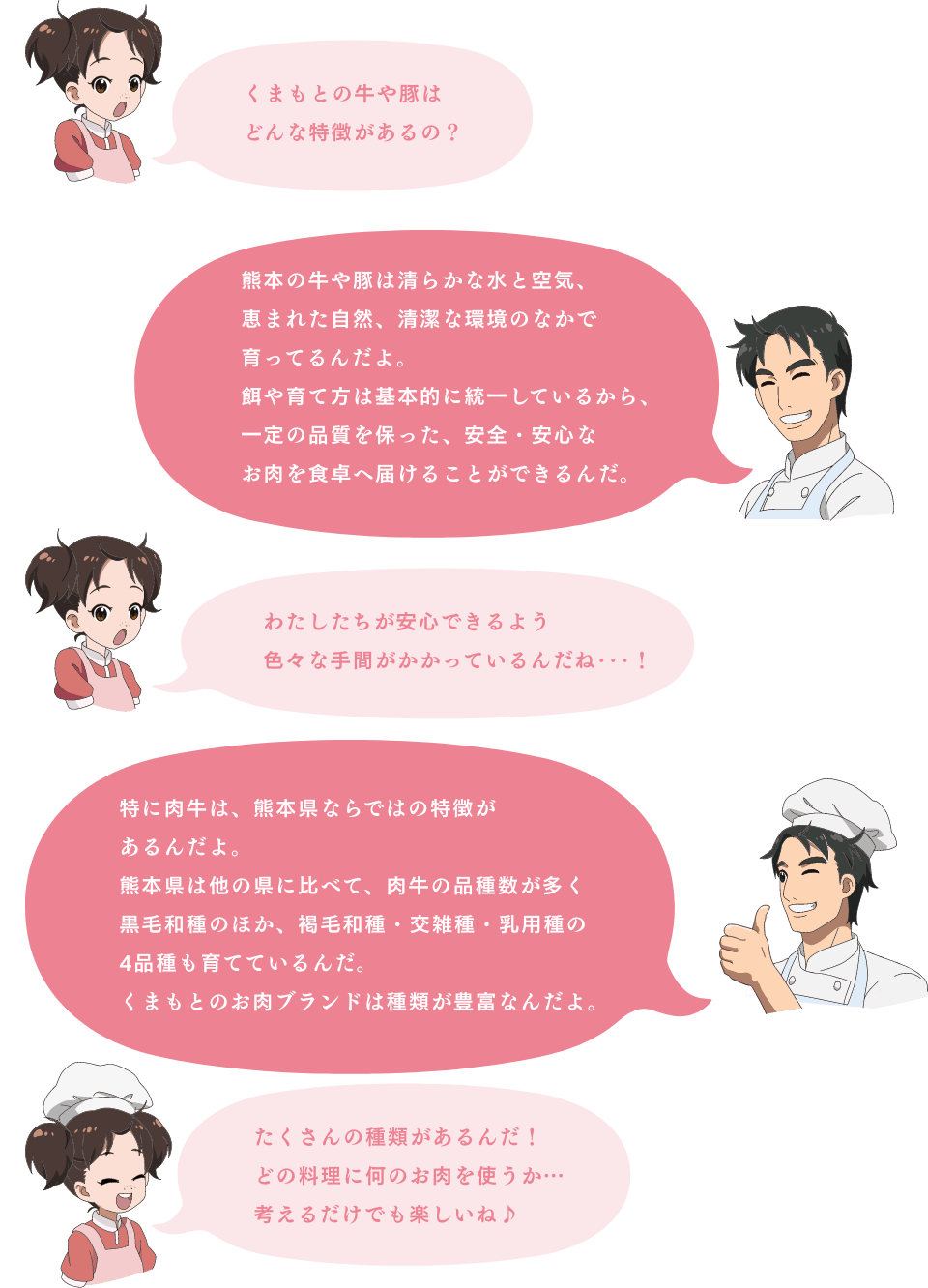 「くまもとの牛や豚はどんな特徴があるの？」「熊本の牛や豚は清らかな水と空気、恵まれた自然、清潔な環境のなかで育ってるんだよ。餌や育て方は基本的に統一しているから、一定の品質を保った、安全・安心なお肉を食卓へ届けることができるんだ。」「わたしたちが安心できるよう色々な手間がかかっているんだね･･･！」「特に肉牛は、熊本県ならではの特徴があるんだよ。熊本県は他の県に比べて、肉牛の品種数が多く黒毛和種のほか、褐毛和種・交雑種・乳用種の4品種も育てているんだ。くまもとのお肉ブランドは種類が豊富なんだよ。」「たくさんの種類があるんだ！どの料理に何のお肉を使うか…考えるだけでも楽しいね♪」