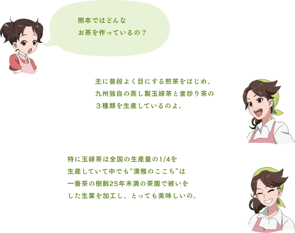 「熊本ではどんなお茶を作っているの？」「主に普段よく目にする煎茶をはじめ、九州独自の蒸し製玉緑茶と釜炒り茶の3種類を生産しているのよ。」「特に玉緑茶は全国の生産量の1/4を生産していて中でも“湧雅のここち”は一番茶の樹齢25年未満の茶園で被いをした生葉を加工し、とっても美味しいの。」