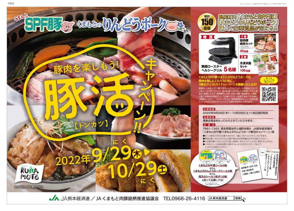 紅の豚の新聞記事 6e283648dc206d04bf43361a27af04