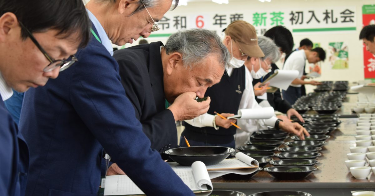 2024年産新茶初入札 最高値額1キロ8万円 - JA熊本経済連